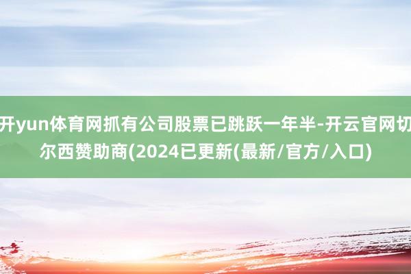 开yun体育网抓有公司股票已跳跃一年半-开云官网切尔西赞助商(2024已更新(最新/官方/入口)